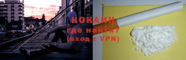 дмт Нея