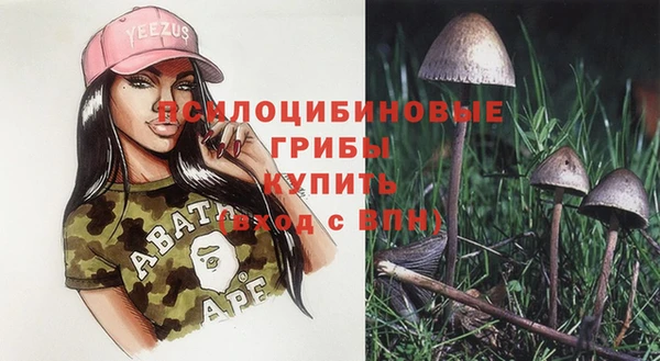 шишки Туринск