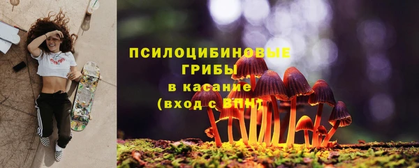 гидра Нефтегорск