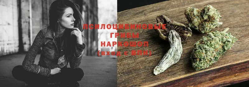 закладка  Закаменск  blacksprut зеркало  Галлюциногенные грибы Magic Shrooms 